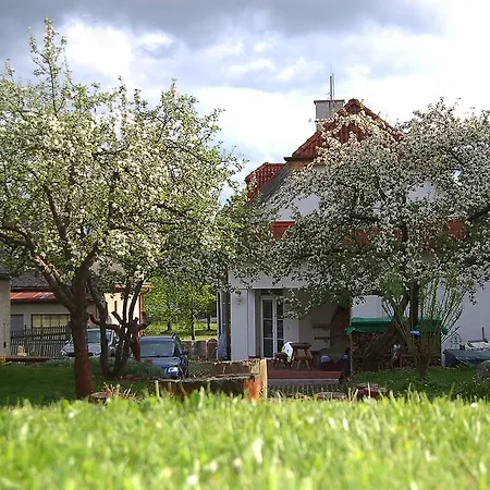 Guest house Belvia