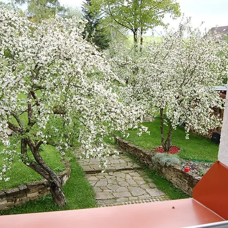 Belvia Nová Lesná